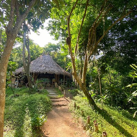Hostal Paraiso Tayrona Kogui Лос Наранхос Екстериор снимка